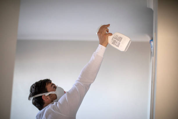 Certified Mold Removal in Lake Magdalene, FL
