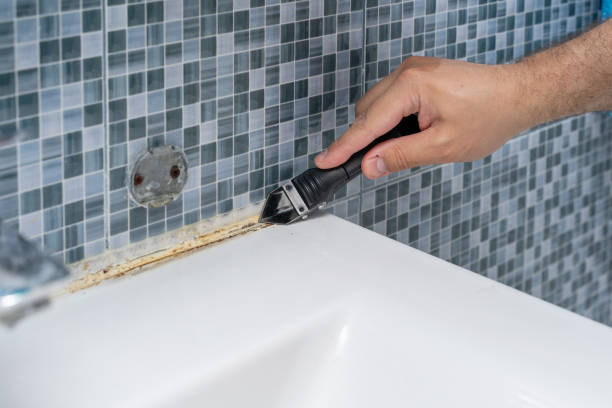 Best Emergency Mold Removal  in Lake Magdalene, FL